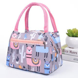 Cartoon Waterproof Lunch Bag With Aluminum Foil Insulated Insulated Thermal Cooler Bags Picnic Food Box